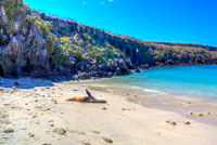 0083 Galapagos Hdr High Dynamic Range