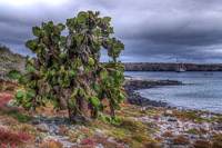 0634 Galapagos Hdr High Dynamic Range