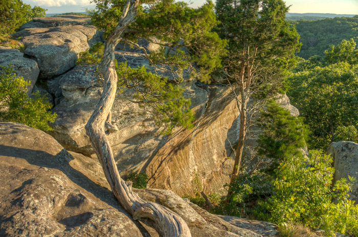 07 Garden Gods 2017 7