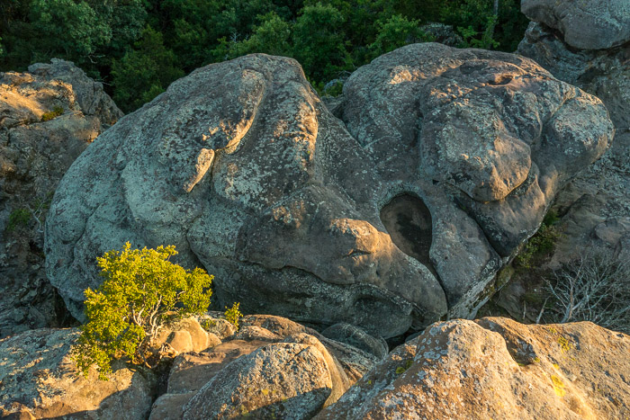 25 Garden Gods 2017 25