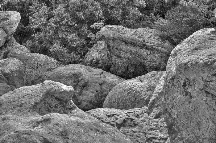 27 Garden Gods 2017 27