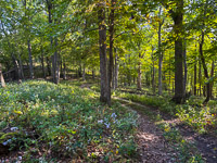 1011 Guttenberg 2025 Pikes Peak Iowa 