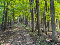 1017 Guttenberg 2025 Pikes Peak Iowa 