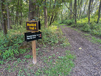 1019 Guttenberg 2025 Pikes Peak Iowa Signs 
