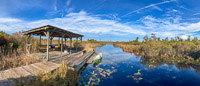 010 Okefenokee 2021 Panorama Bluff Lake Chickee