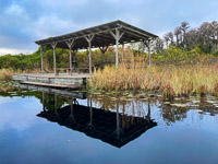 016 Okefenokee 2021 Bluff Lake Chickee