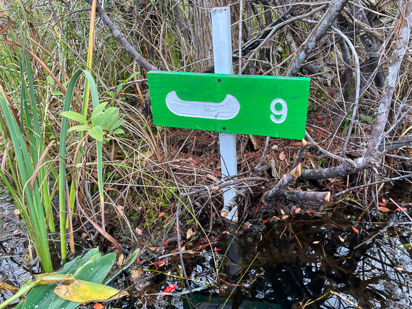 A Well Marked Trail