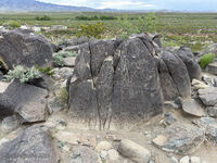 New Mexico 010