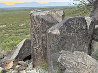 New Mexico 012