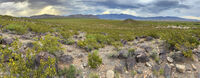 New Mexico 016