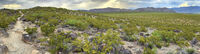 New Mexico 017