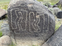New Mexico 024