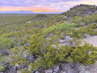 New Mexico 025