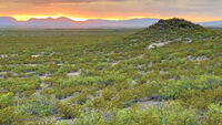 New Mexico 026