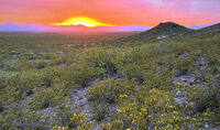 New Mexico 030