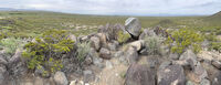 New Mexico 046