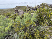 New Mexico 047