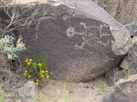 New Mexico 075