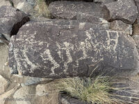 New Mexico 077