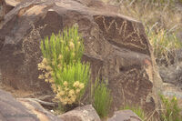 New Mexico 091