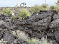 New Mexico 110