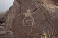 New Mexico 115