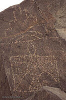 New Mexico 116