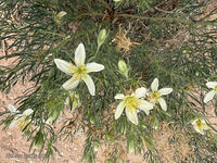 Nine Mile Canyon 006