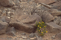 Nine Mile Canyon 083
