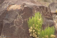 Nine Mile Canyon 092