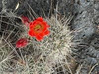 Nine Mile Canyon 099