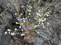 Nine Mile Canyon 106
