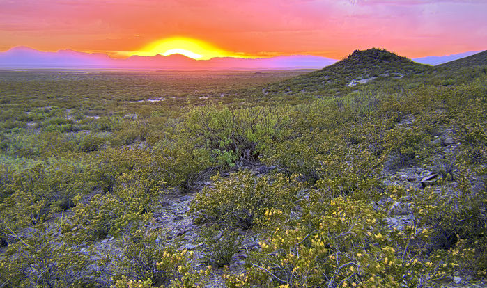 Desert Sunset