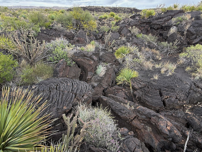 Malpaís (Old Lava Flows)