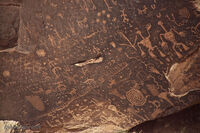 Petrified Forest 11