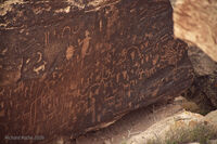 Petrified Forest 12
