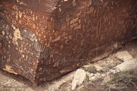 Petrified Forest 13
