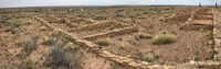 Petrified Forest 16