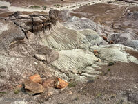 Petrified Forest 29