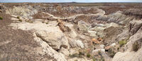 Petrified Forest 30