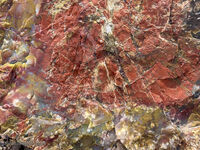 Petrified Forest 63