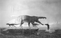 Petrified Forest 70