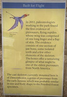 Petrified Forest 78