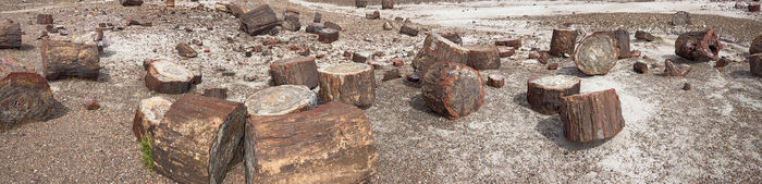 Cordwood Ready for Splitting?