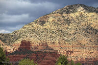 Arizona 04