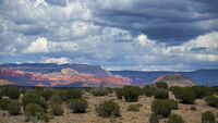 Arizona 06