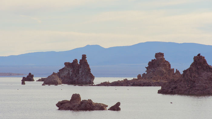 Mono Lake at Sunrise (Ospreys on Right)