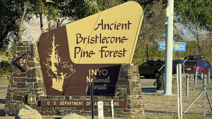 Bristlecone Pine Forest Sign
