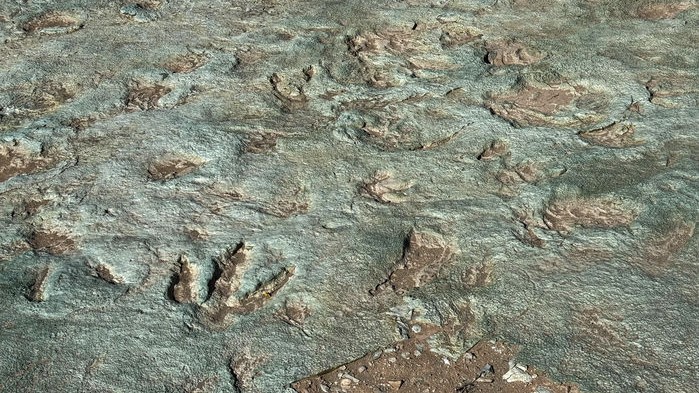 Utah Dinosaur Tracks