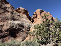 Arches 2026 27